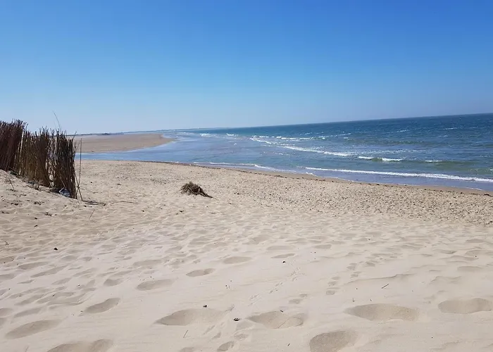 De Kastanje Ауддорп